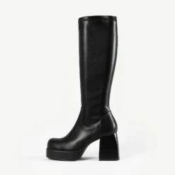 RAID Eveliaa Long Boot In Black
