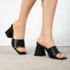 RAID Khloe Block Heeled Mule In Black
