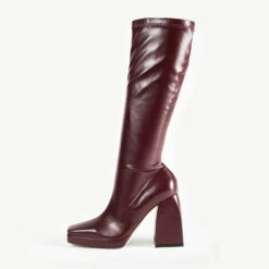 RAID Rainbow Block Heeled Long Boot In Burgundy